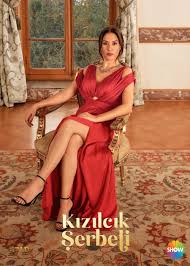 Evrim Alasya: Erkek gibi davranan erkeklere hasret kaldım